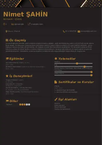 Ressam Cv Örnekleri cv indir